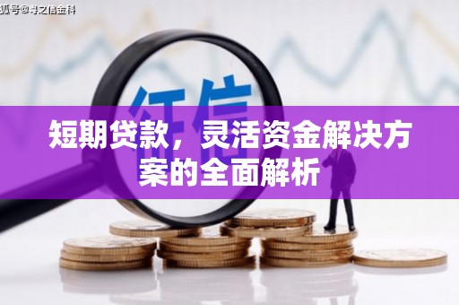呼兰短期贷款，灵活资金解决方案的全面解析