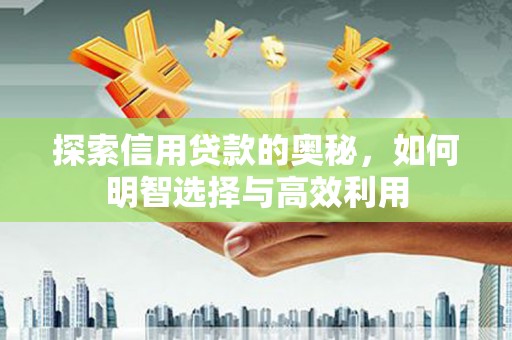 呼兰探索信用贷款的奥秘，如何明智选择与高效利用