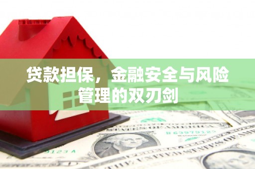 呼兰贷款担保，金融安全与风险管理的双刃剑