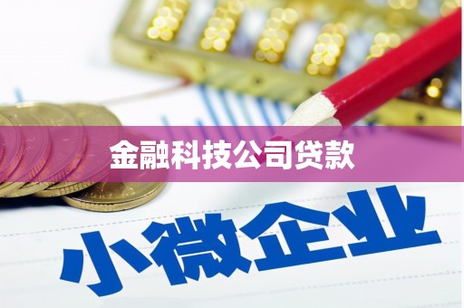 呼兰金融科技公司贷款