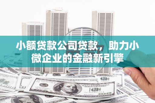 呼兰小额贷款公司贷款，助力小微企业的金融新引擎
