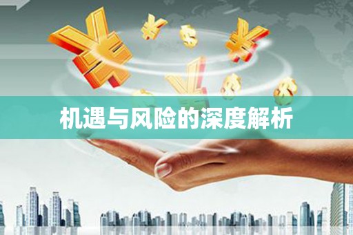 呼兰机遇与风险的深度解析