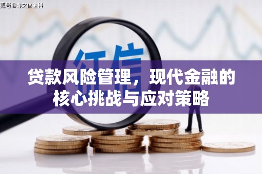 呼兰贷款风险管理，现代金融的核心挑战与应对策略