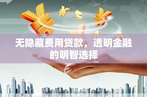 呼兰无隐藏费用贷款，透明金融的明智选择