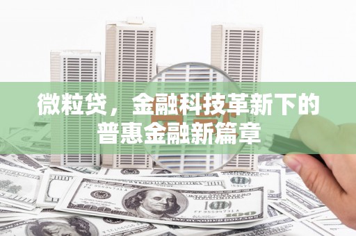 呼兰微粒贷，金融科技革新下的普惠金融新篇章