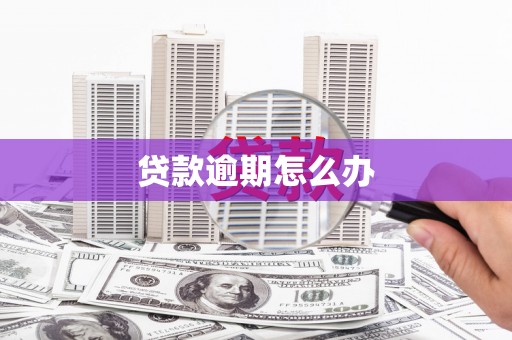 呼兰贷款逾期怎么办