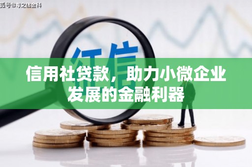 呼兰信用社贷款，助力小微企业发展的金融利器