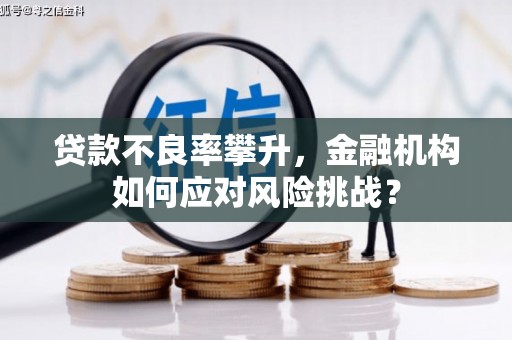 呼兰贷款不良率攀升，金融机构如何应对风险挑战？