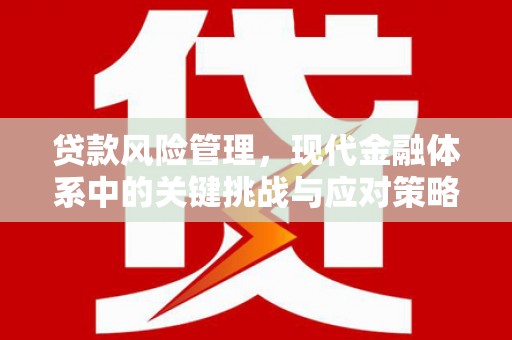 呼兰贷款风险管理，现代金融体系中的关键挑战与应对策略