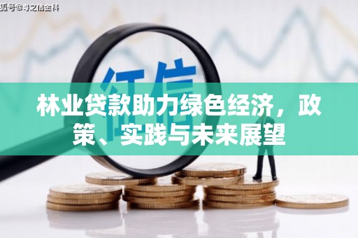 呼兰林业贷款助力绿色经济，政策、实践与未来展望