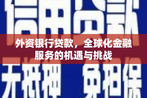 呼兰外资银行贷款，全球化金融服务的机遇与挑战