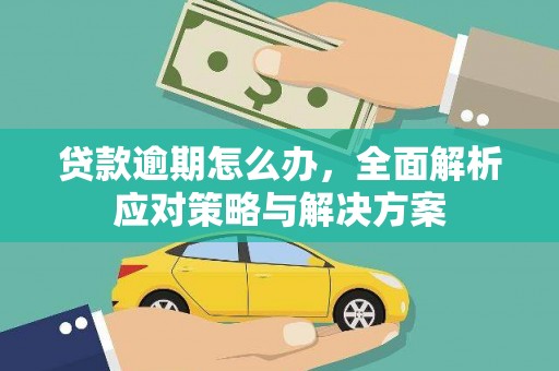 呼兰贷款逾期怎么办，全面解析应对策略与解决方案
