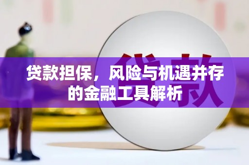 呼兰贷款担保，风险与机遇并存的金融工具解析
