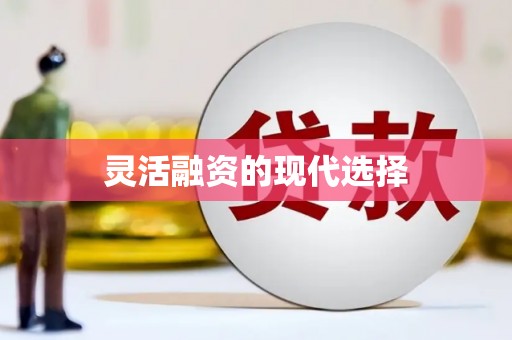 呼兰灵活融资的现代选择