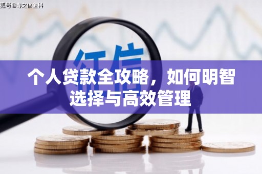呼兰个人贷款全攻略，如何明智选择与高效管理