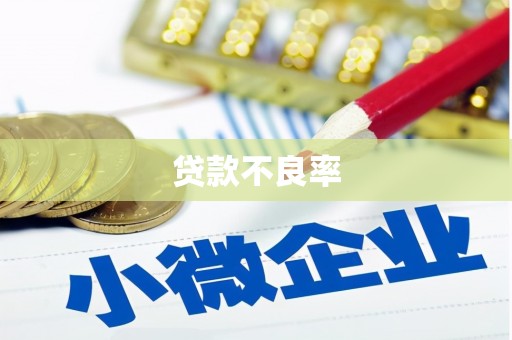 呼兰贷款不良率