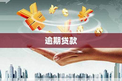 呼兰逾期贷款