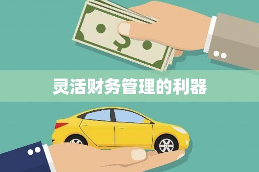 呼兰灵活财务管理的利器
