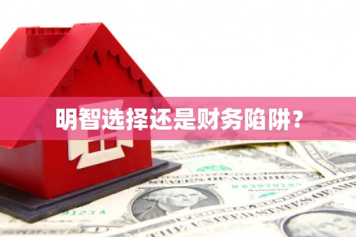 呼兰明智选择还是财务陷阱？