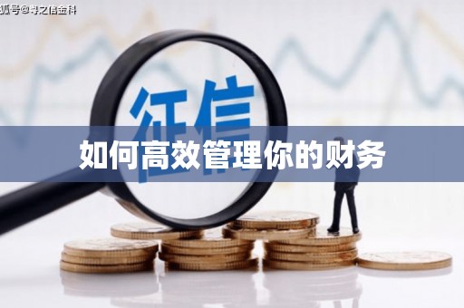 呼兰如何高效管理你的财务