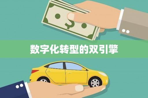 呼兰数字化转型的双引擎