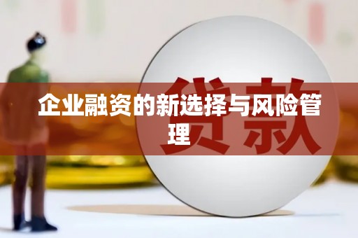 呼兰企业融资的新选择与风险管理