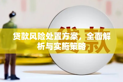 呼兰贷款风险处置方案，全面解析与实施策略