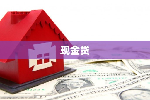 呼兰现金贷