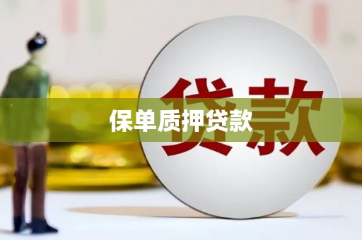 呼兰保单质押贷款