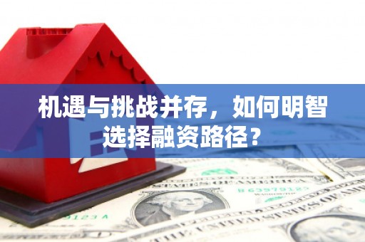 呼兰机遇与挑战并存，如何明智选择融资路径？