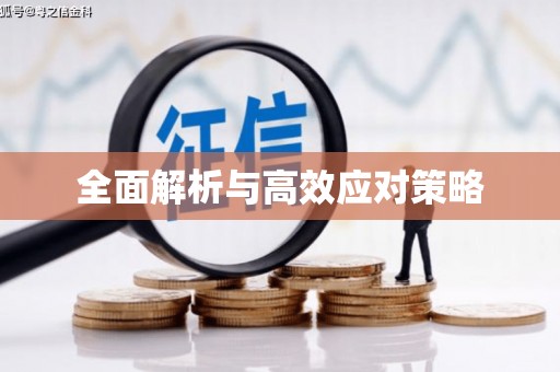 呼兰全面解析与高效应对策略
