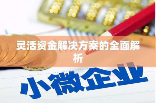 呼兰灵活资金解决方案的全面解析