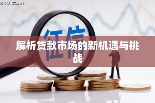 呼兰解析贷款市场的新机遇与挑战