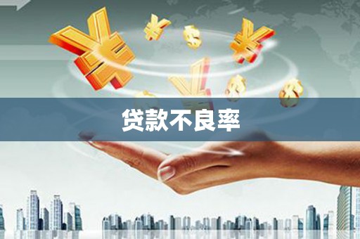 呼兰贷款不良率
