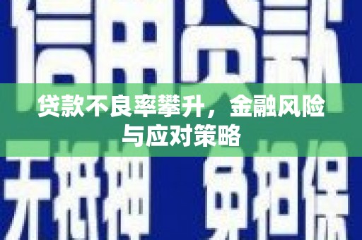 呼兰贷款不良率攀升，金融风险与应对策略